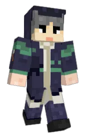 Skin preview