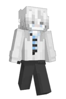 d8an Minecraft avatar full body