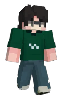 Front of Neverglades's skin