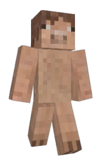 Front of Minecraft skin