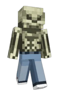 Front of ChromosomeDome's skin