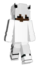 CLE4NED's Minecraft skin wearing the Migrator cape
