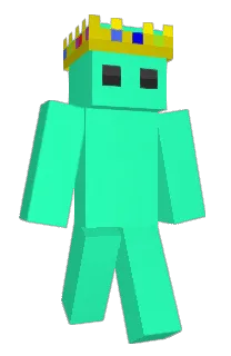 Front of Suplized's skin