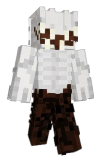 Front of giffrod's skin