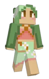 Custom render preview