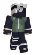 NSN01