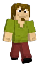 Petandcat's Minecraft skin wearing the Founder's cape
