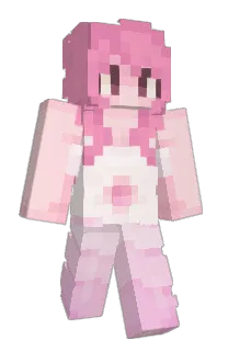 Front of ammio's skin