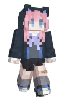 Front of Clearaid's skin