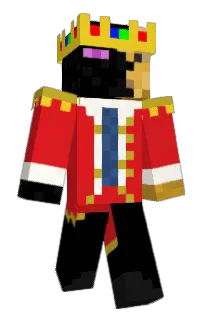 Front of Meterfreter's skin