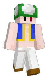 Skin preview