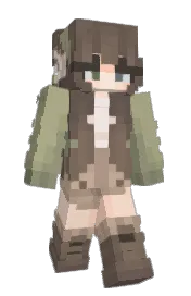 Skin preview