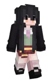 Skin preview