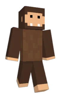 Front of FlatWizzard's skin