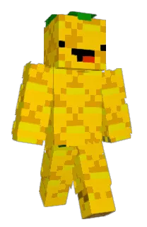 Front of Minecraft skin