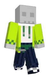 Skin preview