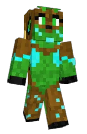 Skin preview