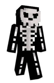 Front of Busteeq's skin