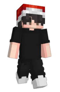 Front of Avoidas's skin