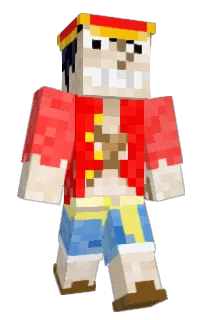 Front of MATBAM's skin