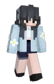 Skin preview