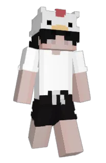 Front of Minecraft skin
