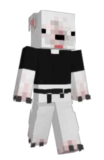 Front of KapoZero's skin