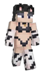 Birka_Clown's Minecraft skin wearing the Minecraft Experience cape