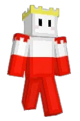 steve_bee