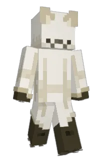 Front of lozerlydark's skin