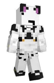 Front of kjmet's skin