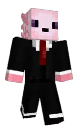 HugoJacquet's Minecraft skin wearing the Migrator cape
