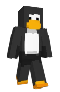LilRintas's Minecraft skin