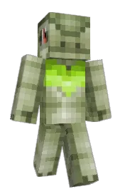 Skin preview