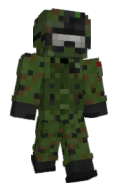 Skin preview