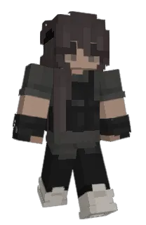 Front of Hectic8207's skin
