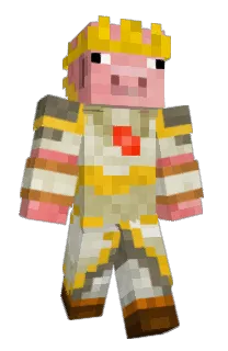Front of Vladomeme's skin