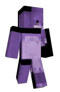 Front of Polarzebo's skin