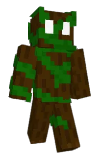 Front of Toutack's skin