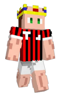 Front of tigasjoga's skin