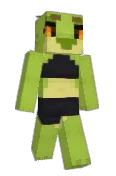 shadowNOVA2001