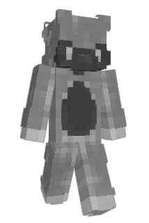 d9er Minecraft avatar full body