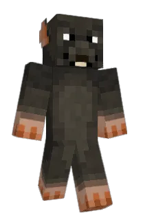 Front of BetaKill's skin