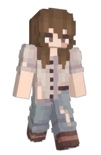 Front of NikoNol's skin