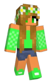 Skin preview