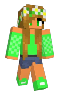 Front of PXII's skin