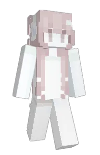 Front of NTLC's skin