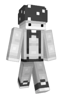 dAW761 Minecraft avatar full body