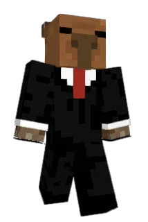 dDopeS Minecraft avatar full body