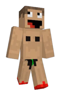 dUSA_ Minecraft avatar full body
